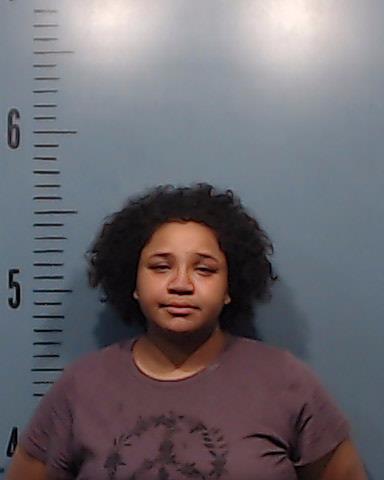 Llewellyn, Jlynn Barbara Faye booking photo