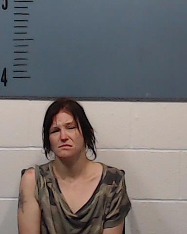 Wahlquist, Kimberly booking photo