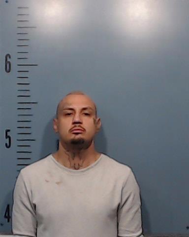 Ramirez, Mario Vicente booking photo