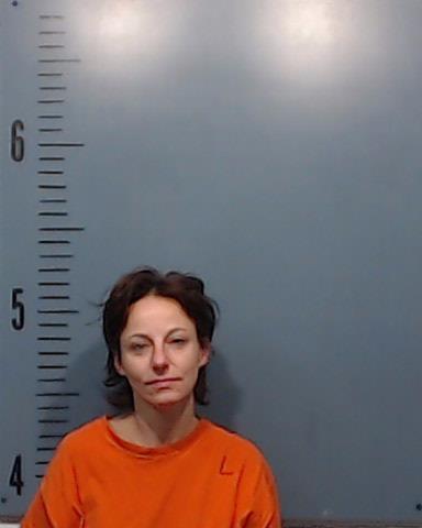 McMinn, Melissa Ann booking photo