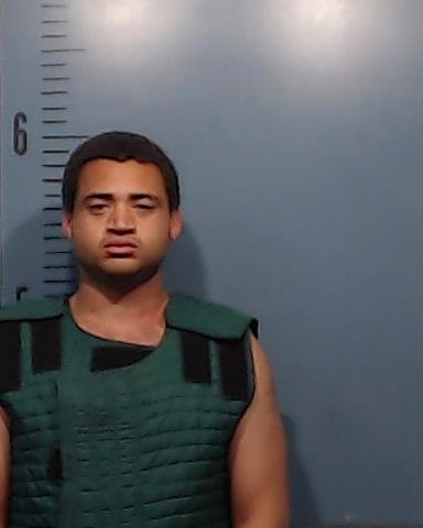 Davis, Brenton Ladon booking photo