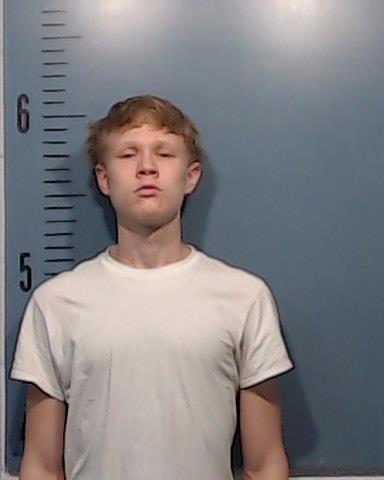 Diggs, Ladonevin Roshun booking photo