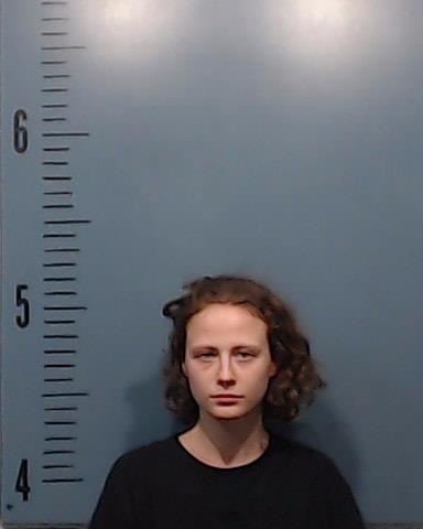Lindley, Haley Jacklyn booking photo