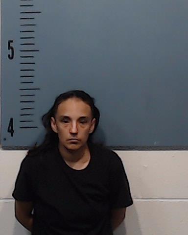 Villarreal, Krystal Renee booking photo