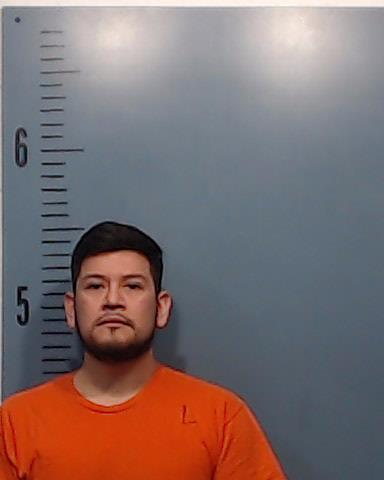 Ramirez Resendiz, Jorge Armand booking photo