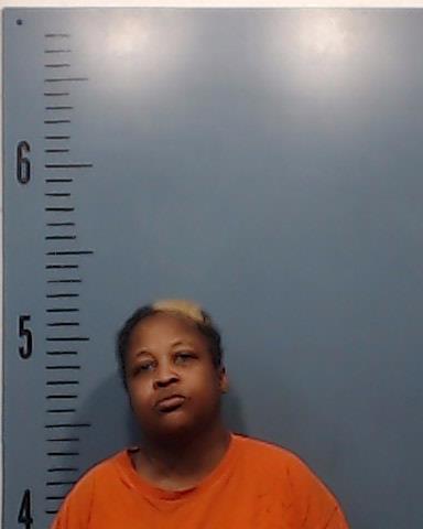 Porter, Tyneka Andrea booking photo