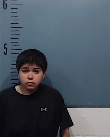 Martinez, Emelia Carmen booking photo