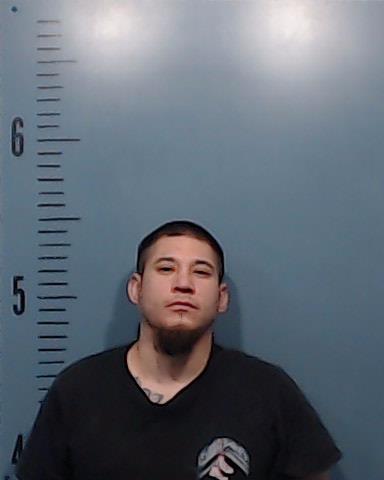 Biscaino, Raul Ramirez, II booking photo