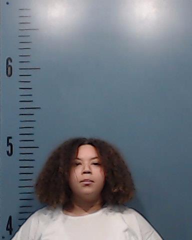 Meeks Swain, Aaliyah Lavell booking photo