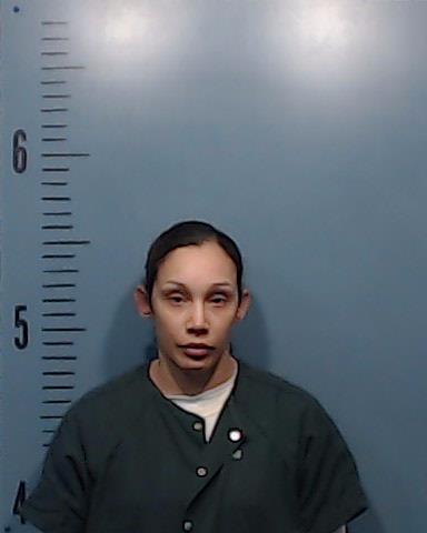 McGill, Henri Ann booking photo