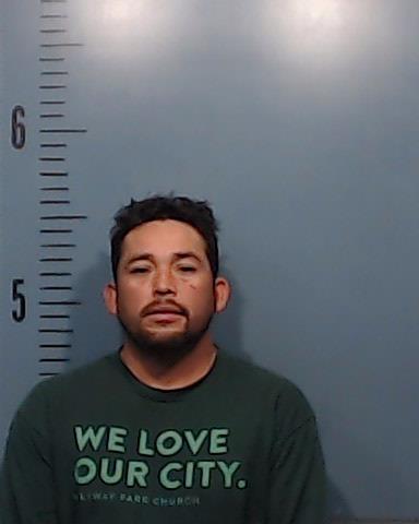 Salmeron-Altamirano, Ariel Alcides booking photo