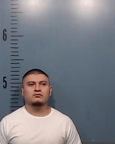 Diego-Otero, Salvador booking photo