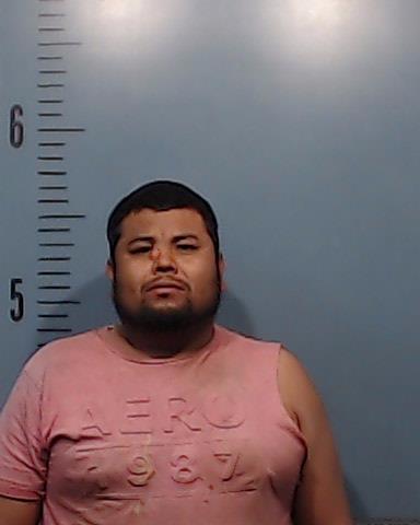 Almanza-Galvan, Miguel booking photo