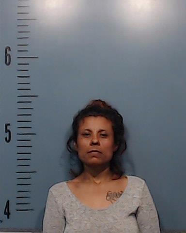Donaghey, Felisita Villegas booking photo