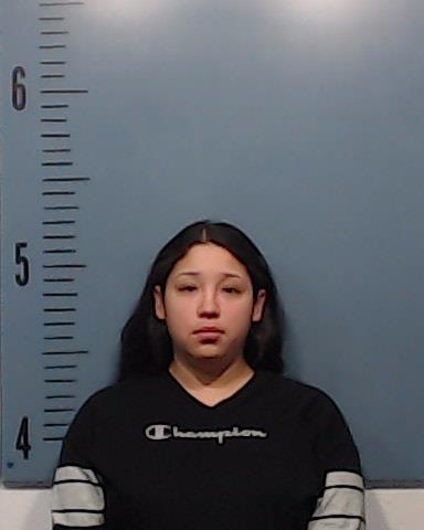 Ramirez, Miryam Jackielin booking photo