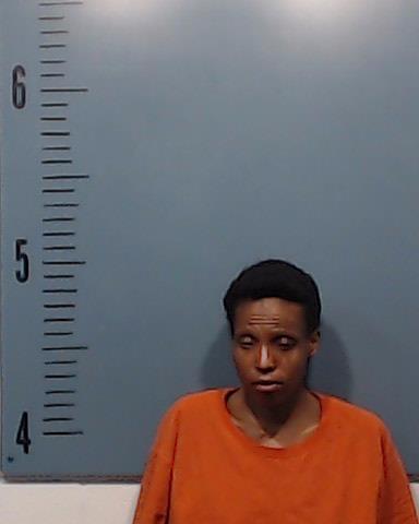 Richardson, Stephanie Ann booking photo