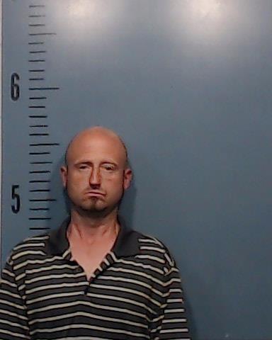 Towler, Jamie Lee booking photo