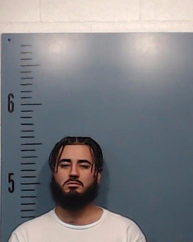 Veloz, David Francisco, Jr. booking photo