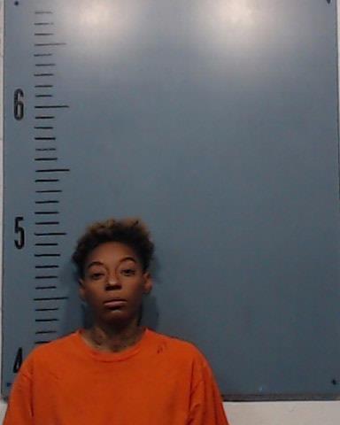 Irving, Chasity Renee booking photo