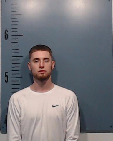 Elezi, Mevlan booking photo