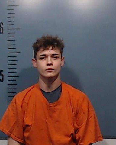 Henderson, Todd Wayne, Jr. booking photo