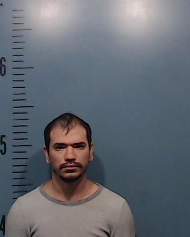 Hernandez, Ruben Lee arrested by Taylor County SO/PD