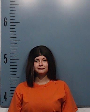 Porter, Lakrisna Renee arrested by Taylor County SO/PD