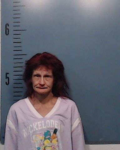 Ticossi, Angelina Michelle booking photo