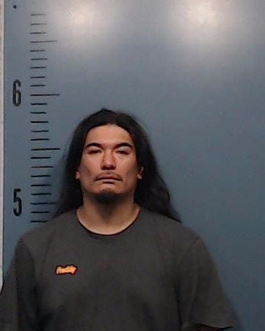 Castillo, Fernando Freddy, Jr. booking photo