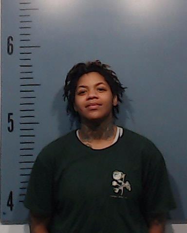 Beasley-Blanks, Serenity Ann arrested by Taylor County SO/PD