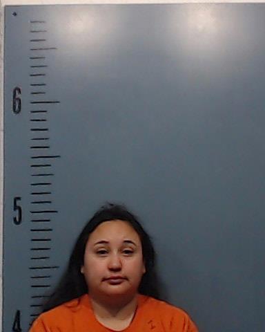 Alfaro, Marisa Yvett arrested by Taylor County SO/PD