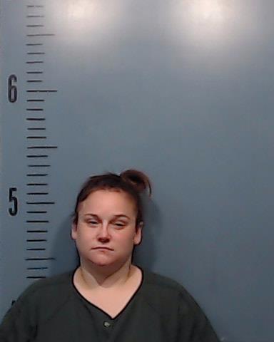 Hodges, Leslie Renee arrested by Taylor County SO/PD