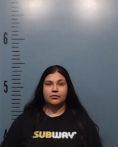 Santibanez, Gloria Ann arrested by Taylor County SO/PD