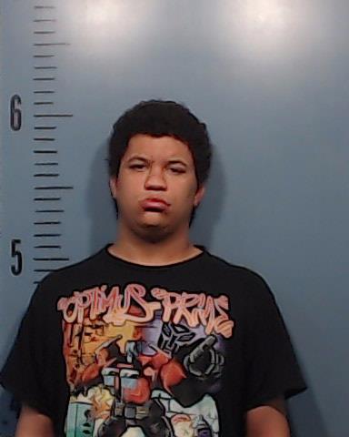 Mathis, Jarod Johntay arrested by Taylor County SO/PD