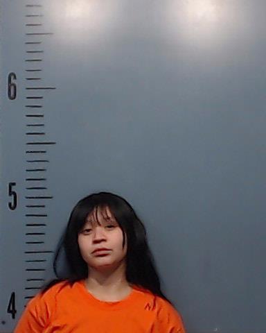 Rodriguez, Gabriela Marie arrested by Taylor County SO/PD
