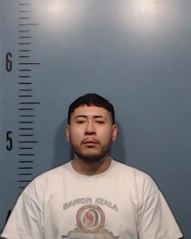 Longoria-Sanchez, Martin Rene arrested by Taylor County SO/PD