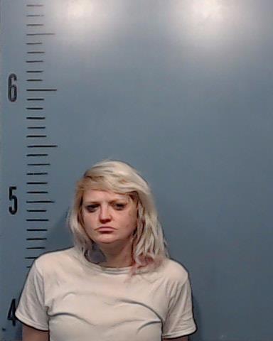 Peterson, Shannon Lynn arrested by Taylor County SO/PD