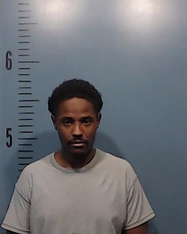 Traylor, Nicholas Deon arrested by Taylor County SO/PD