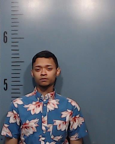 Hendrix, Michael Deangelo, Jr. arrested by Taylor County SO/PD