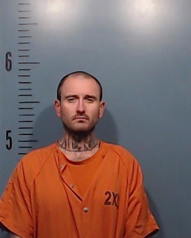 Logan, Brandon Phillip arrested by Taylor County SO/PD