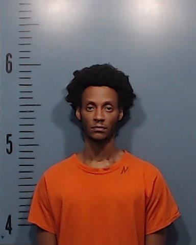 Hudson, Leonard Byron arrested by Taylor County SO/PD