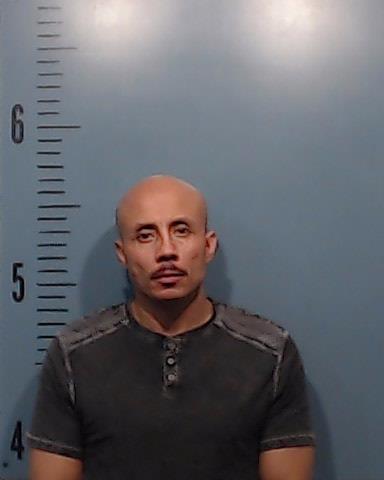 Molly, Louis Andrew booking photo