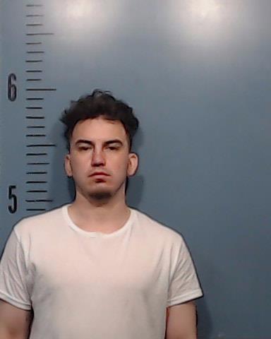 Meza, Ricardo, Jr. booking photo