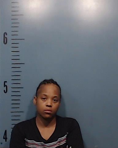 Bingham, Andrea Kiara booking photo