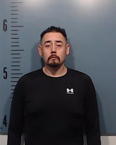 Fernandez, Solano Garza, Jr. booking photo