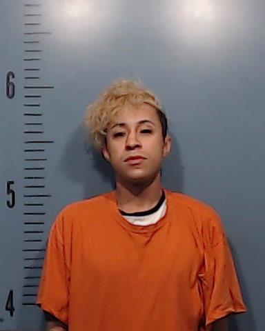 Jackson, Devon Tanaka booking photo