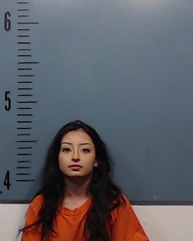 Adames, Dezarae Isabel Maria arrested by Taylor County SO/PD