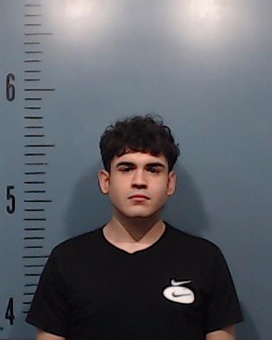 Hernandez, Ryan Lee booking photo