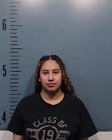 Bustillos, Ana Priscilla booking photo