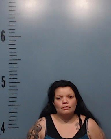 Habekott, Wynter Dawn booking photo